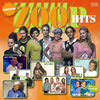 CD: Zoop Hits