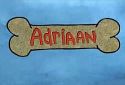 Adriaan (2007)