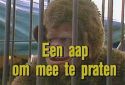 Aap om mee te praten, Een (1985)